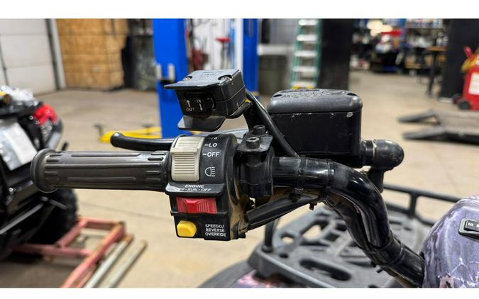 2004 Polaris SPORTSMAN 500 HO