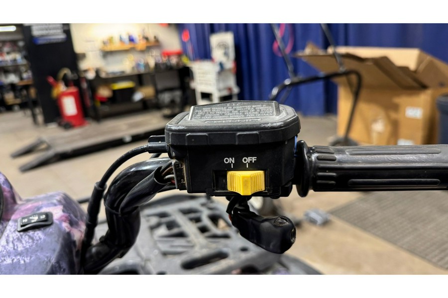 2004 Polaris SPORTSMAN 500 HO