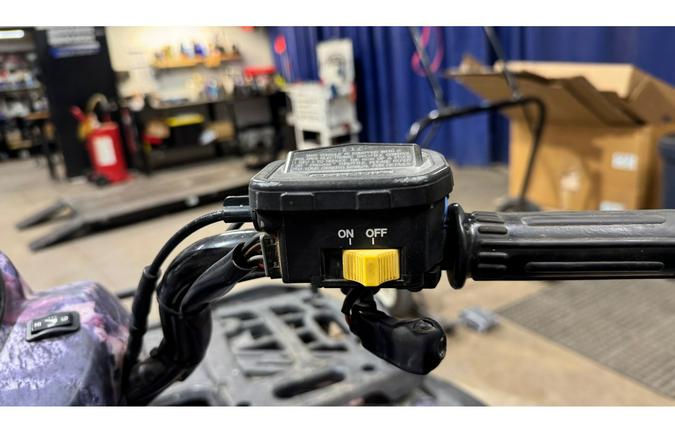 2004 Polaris SPORTSMAN 500 HO