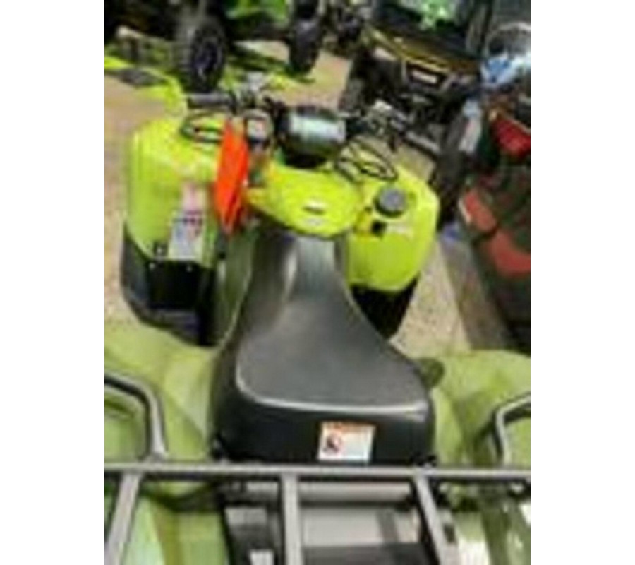 2026 Yamaha Grizzly EPS