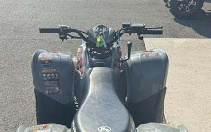 2024 Polaris Phoenix 200