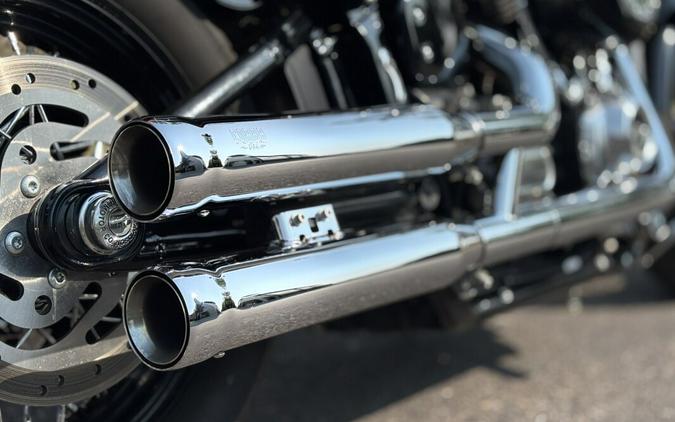 2019 Harley-Davidson Softail Slim