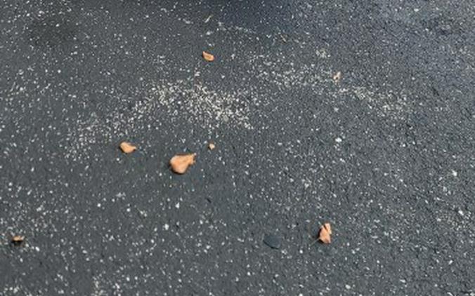 2019 Harley-Davidson® Softail Slim®