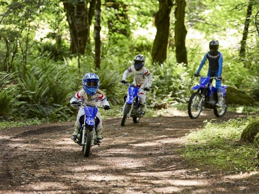 2026 Yamaha TT-R50E