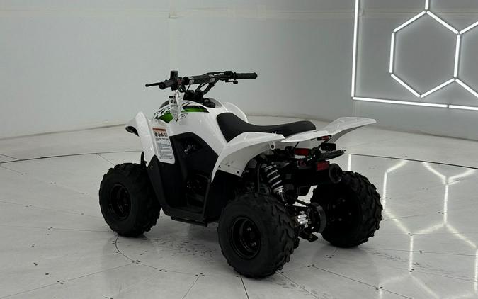 2026 Kawasaki KFX®50