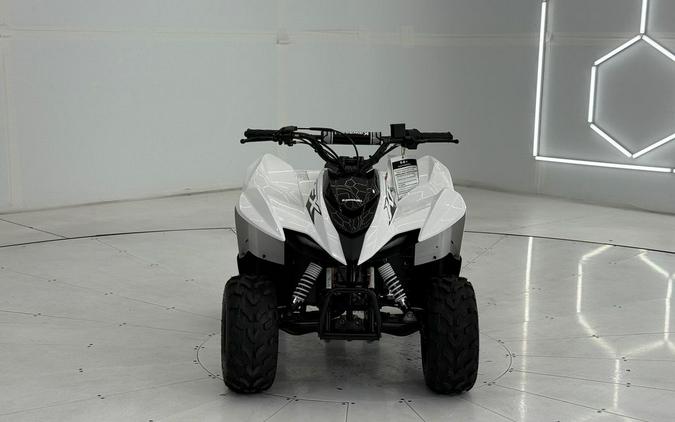 2026 Kawasaki KFX®50