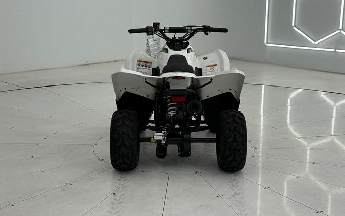 2026 Kawasaki KFX®50