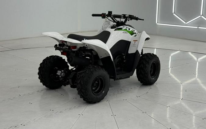 2026 Kawasaki KFX®50