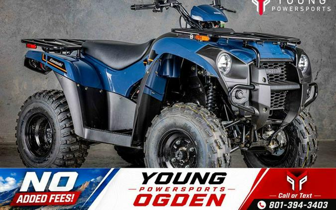 2025 Kawasaki Brute Force 300