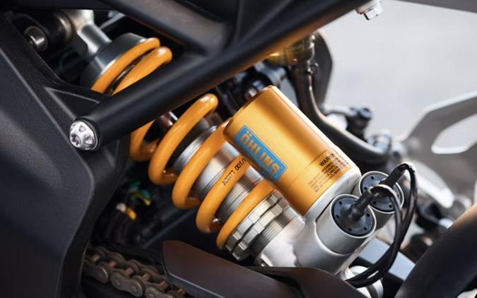2026 Triumph Speed Triple 1200 RX Limited Edition
