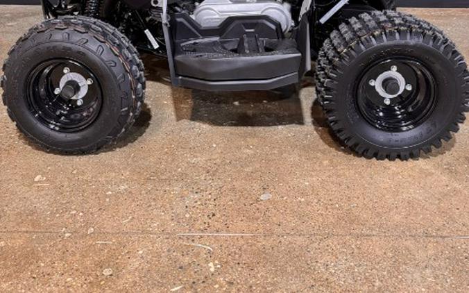2027 Can-Am Renegade 70 EFI