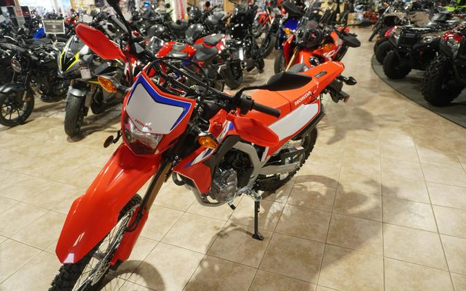 2023 Honda CRF300LS Review (A Dozen Dual-Sport Fast Facts)