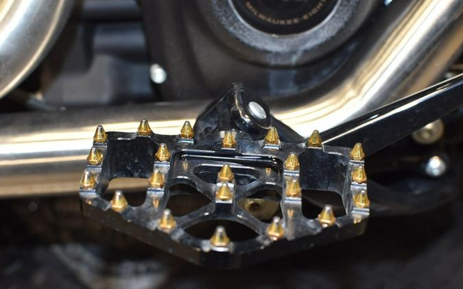 2024 Harley-Davidson Low Rider ST FXLRST