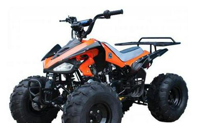 2021 Tao Motor Cheetah 125