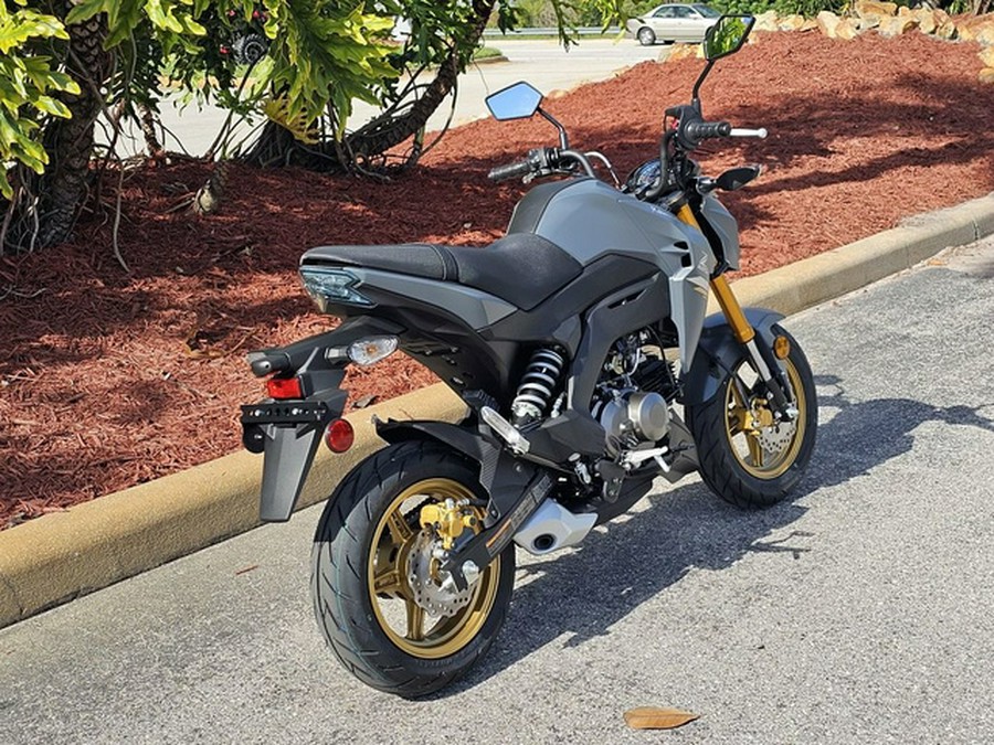 2024 Kawasaki Z125 PRO