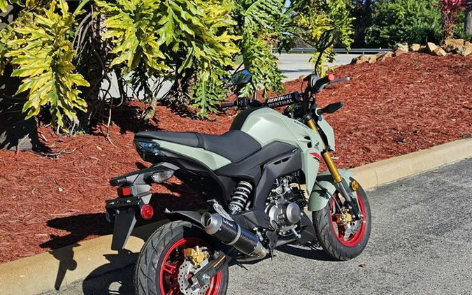 2023 Kawasaki Z125 PRO