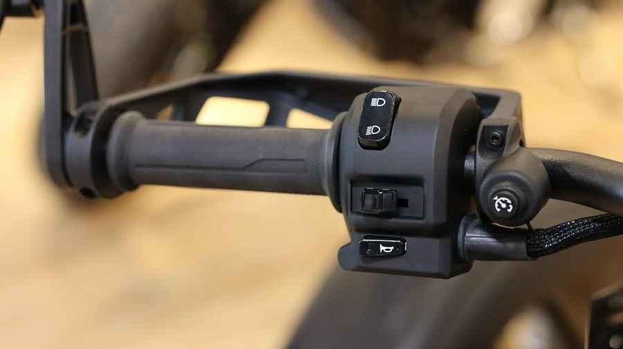 2025 CAN-AM RYKER RALLY 900