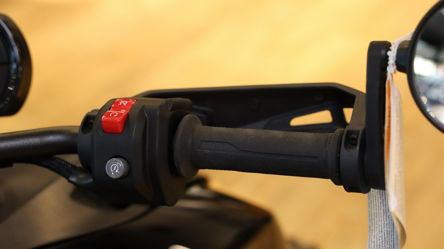 2025 CAN-AM RYKER RALLY 900