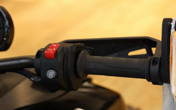 2025 CAN-AM RYKER RALLY 900