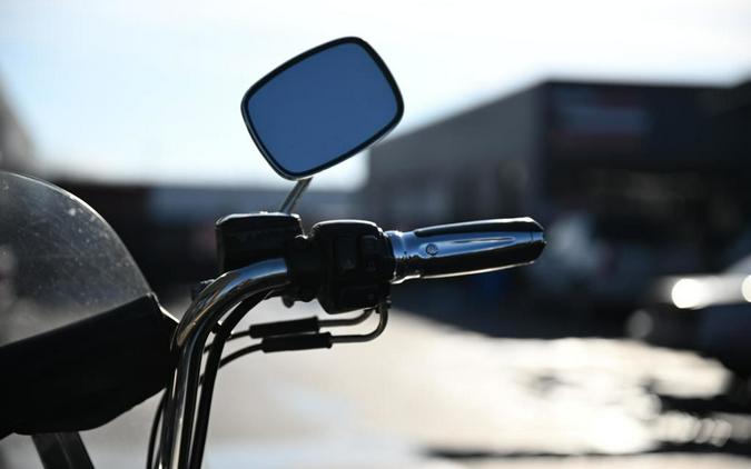2010 Harley-Davidson FLSTC - Heritage Softail Classic