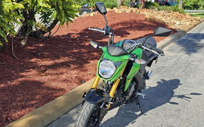 2024 Kawasaki Z125 PRO