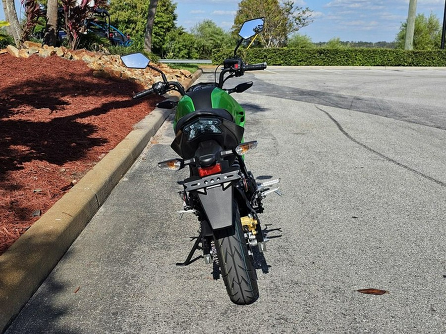 2024 Kawasaki Z125 PRO