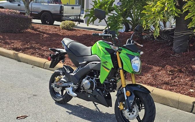 2024 Kawasaki Z125 PRO