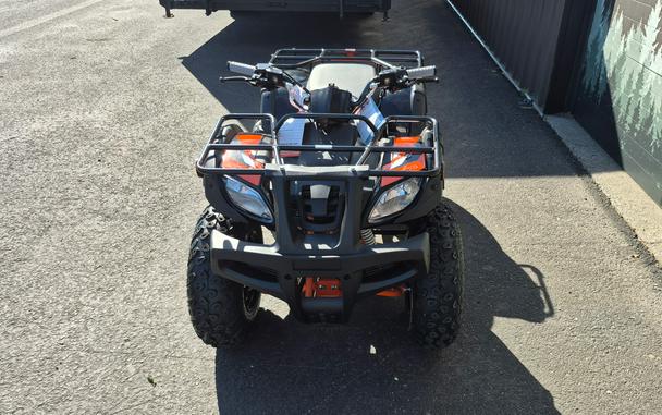 2026 Kayo Bull 150 EFI Black - 01831