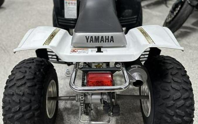 2002 Yamaha Warrior 350