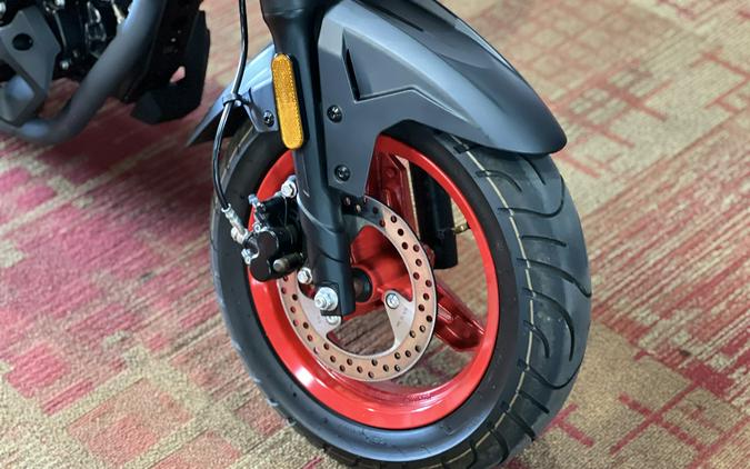 2023 CFMOTO Papio