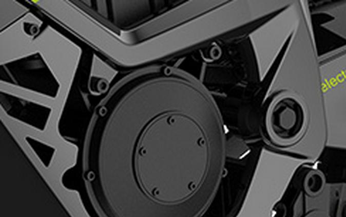2026 SSR Motorsports SR-E8 PRO