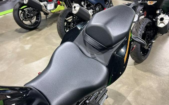 2026 Kawasaki Ninja® ZX™-4RR ABS