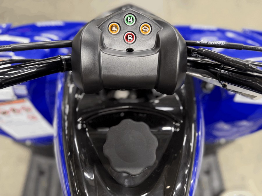 2026 Yamaha Raptor 110
