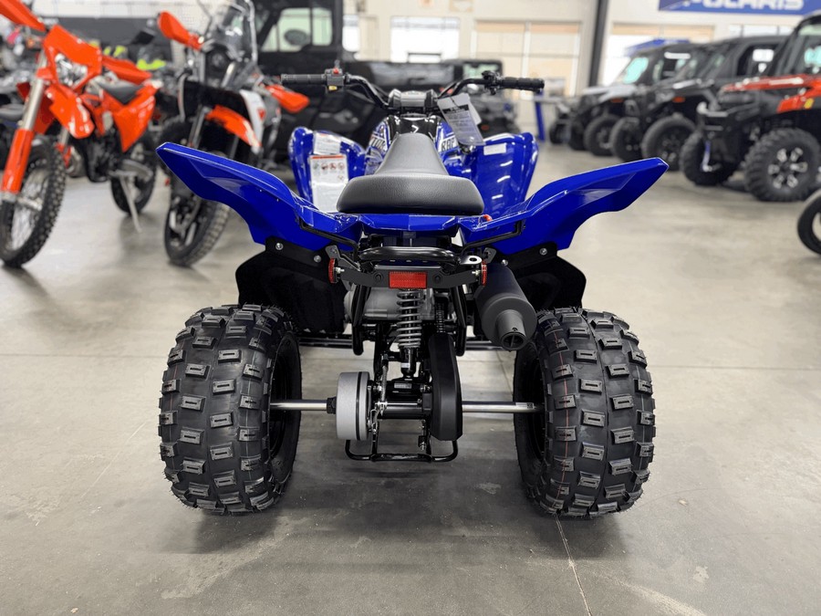 2026 Yamaha Raptor 110