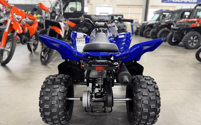 2026 Yamaha Raptor 110