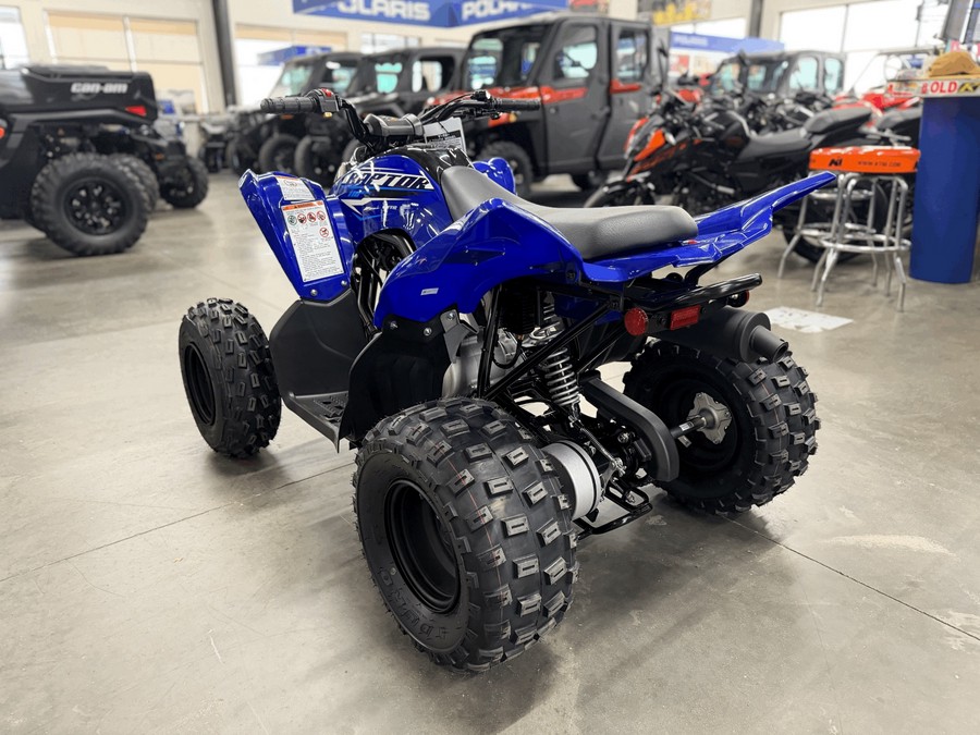 2026 Yamaha Raptor 110