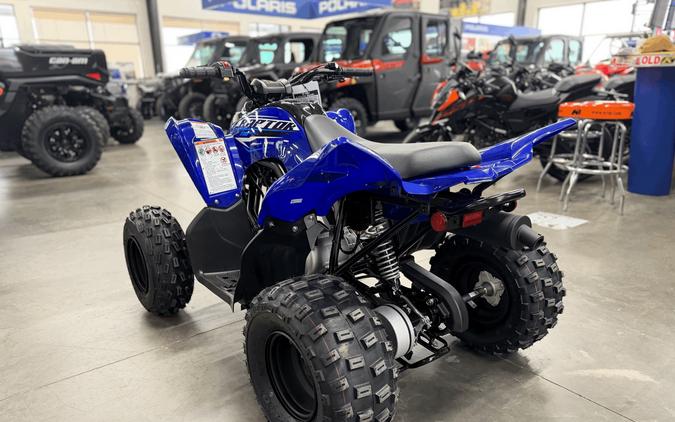 2026 Yamaha Raptor 110