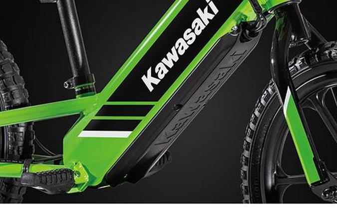 2025 Kawasaki Elektrode® 16