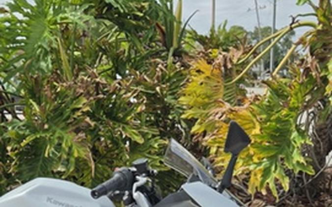 2025 Kawasaki Ninja 500