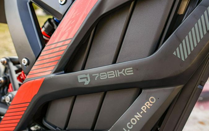 2025 79 BIKE FALCON PRO