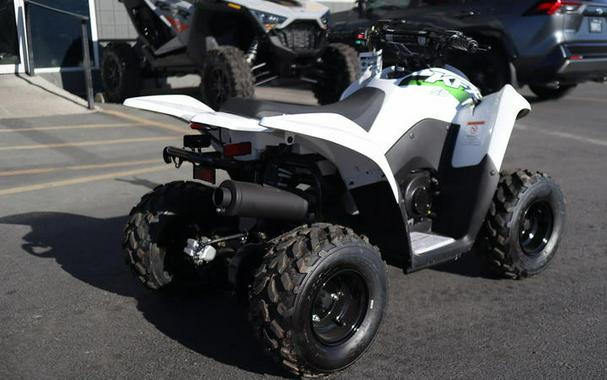 2026 Kawasaki KFX®50