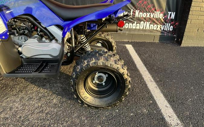 2024 Yamaha Raptor 110