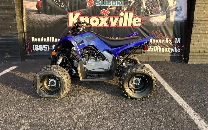 2024 Yamaha Raptor 110