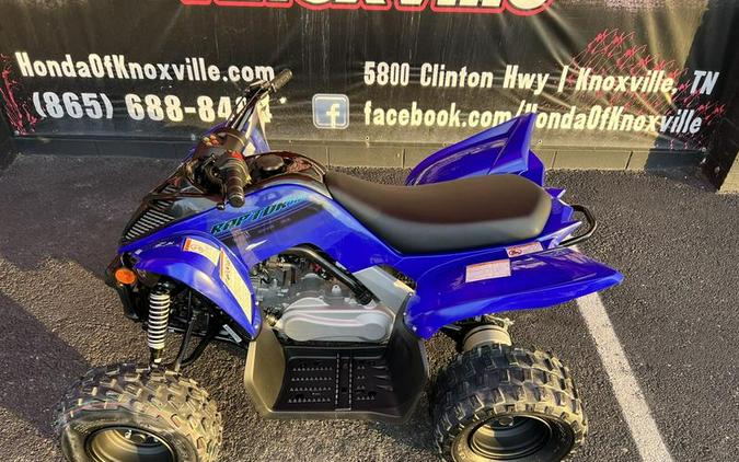 2024 Yamaha Raptor 110