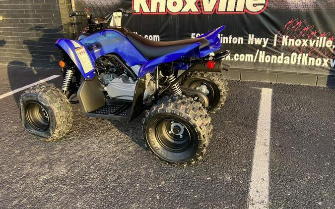 2024 Yamaha Raptor 110