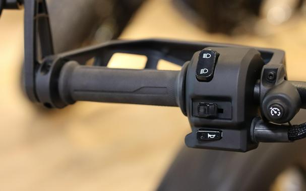 2025 CAN-AM RYKER RALLY 900