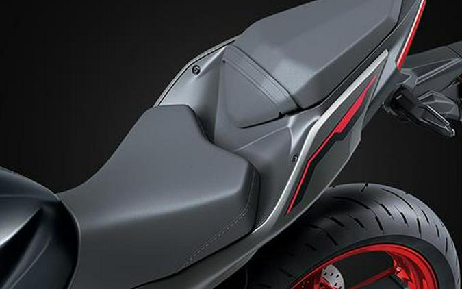 2025 Kawasaki Z500 SE ABS