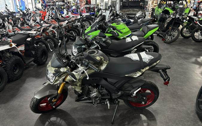 2025 Kawasaki Z125 Pro