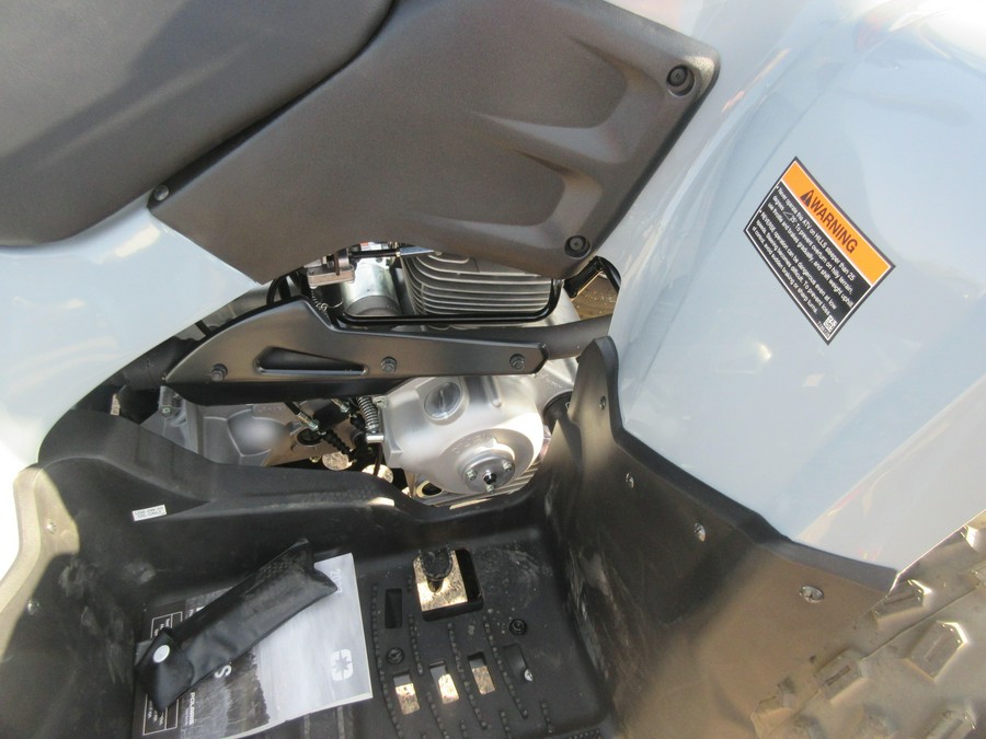 2027 POLARIS PHOENIX 200