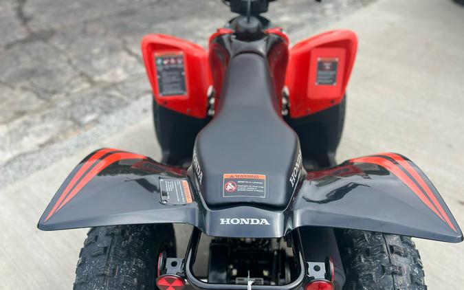 2024 Honda TRX90X